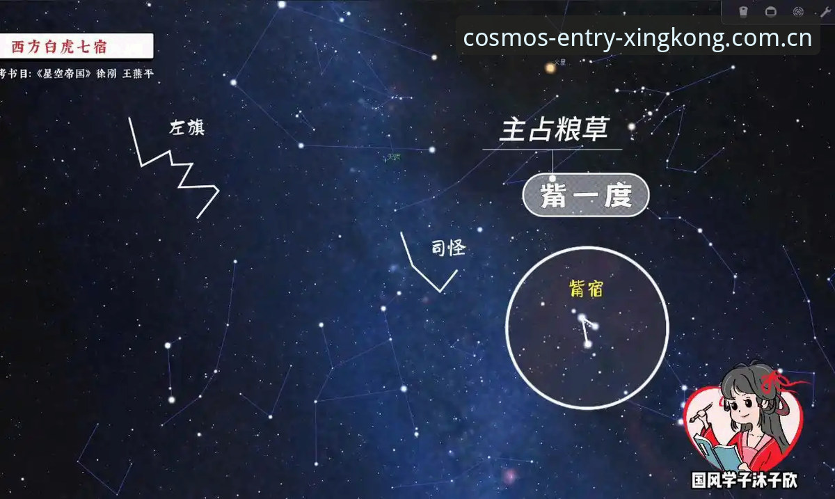 星空入口解决失败 星空入口解决失败 vs 成功接入:三次版本迭代的数据对比与实操指南
