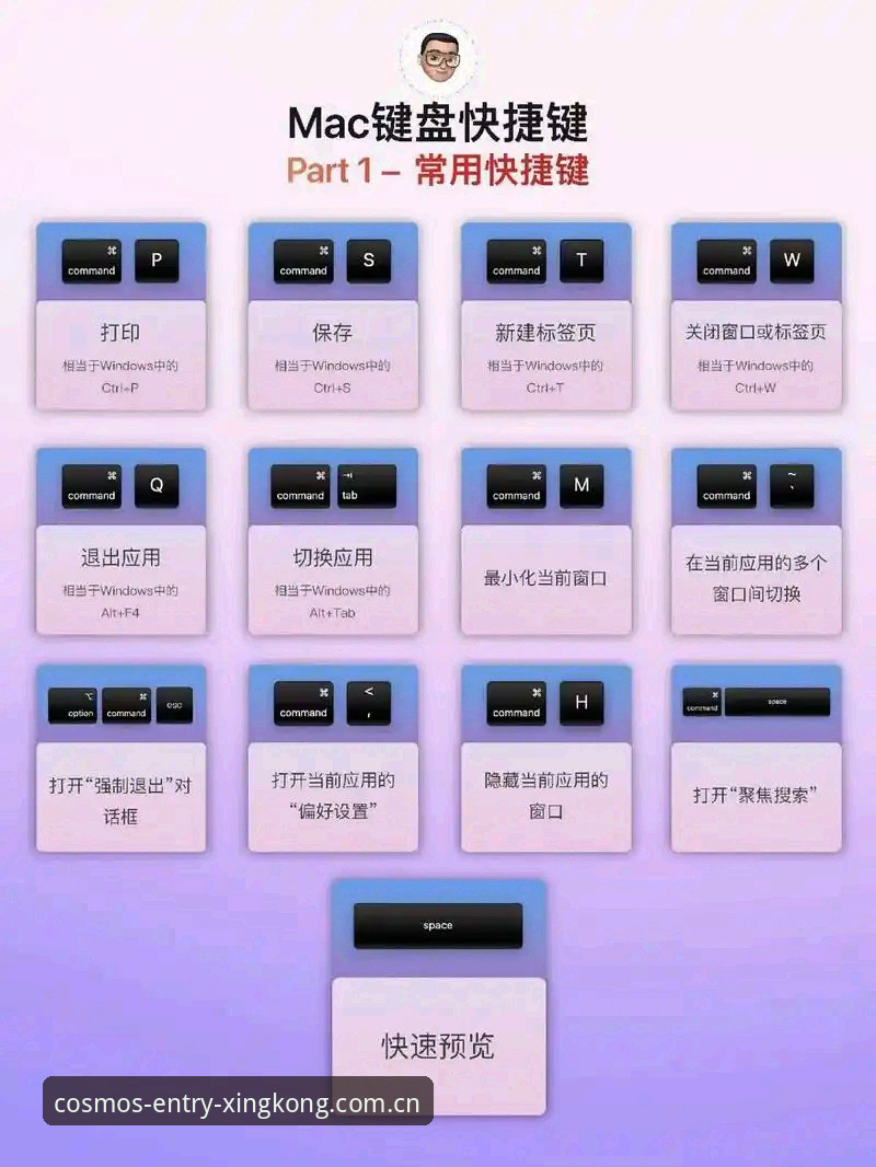 星空娱乐平台最新入口数据中心避坑指南：苹果下载与电脑访问的实用技巧